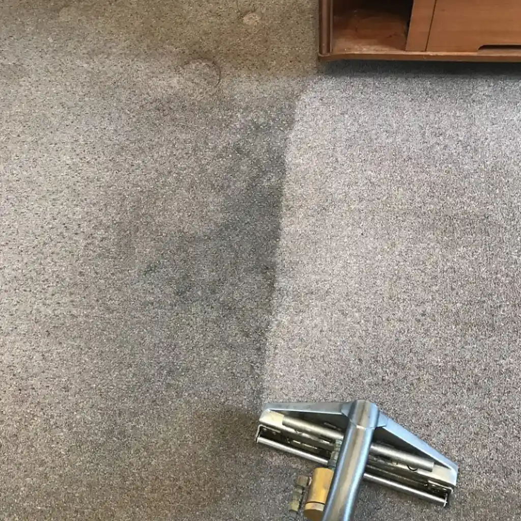 CARPET